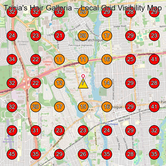 Tricia's Hair Galleria GeoGrid visibility map for Beauty Salon in Patchogue